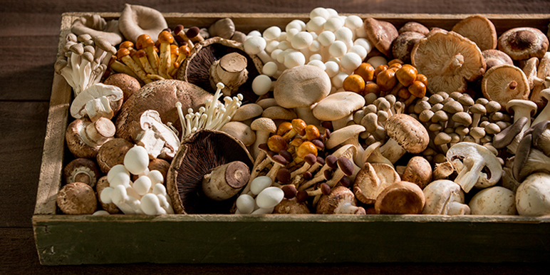 Mushroom Council launches #AMushroomADay for Mushroom Month
