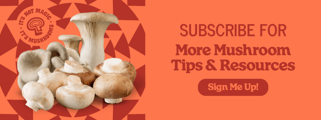 Mushroom Newsletter Opt-in Blog 1200px