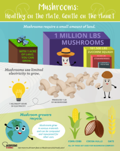 Sustainable Mushroom Infographic Facts for Kids
