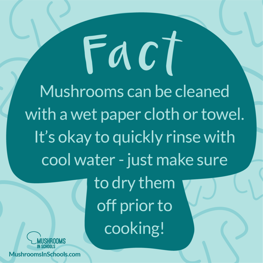 https://www.mushroomcouncil.org/wp-content/uploads/2021/06/MU-Mushroom-Myths-04-1024x1024.png