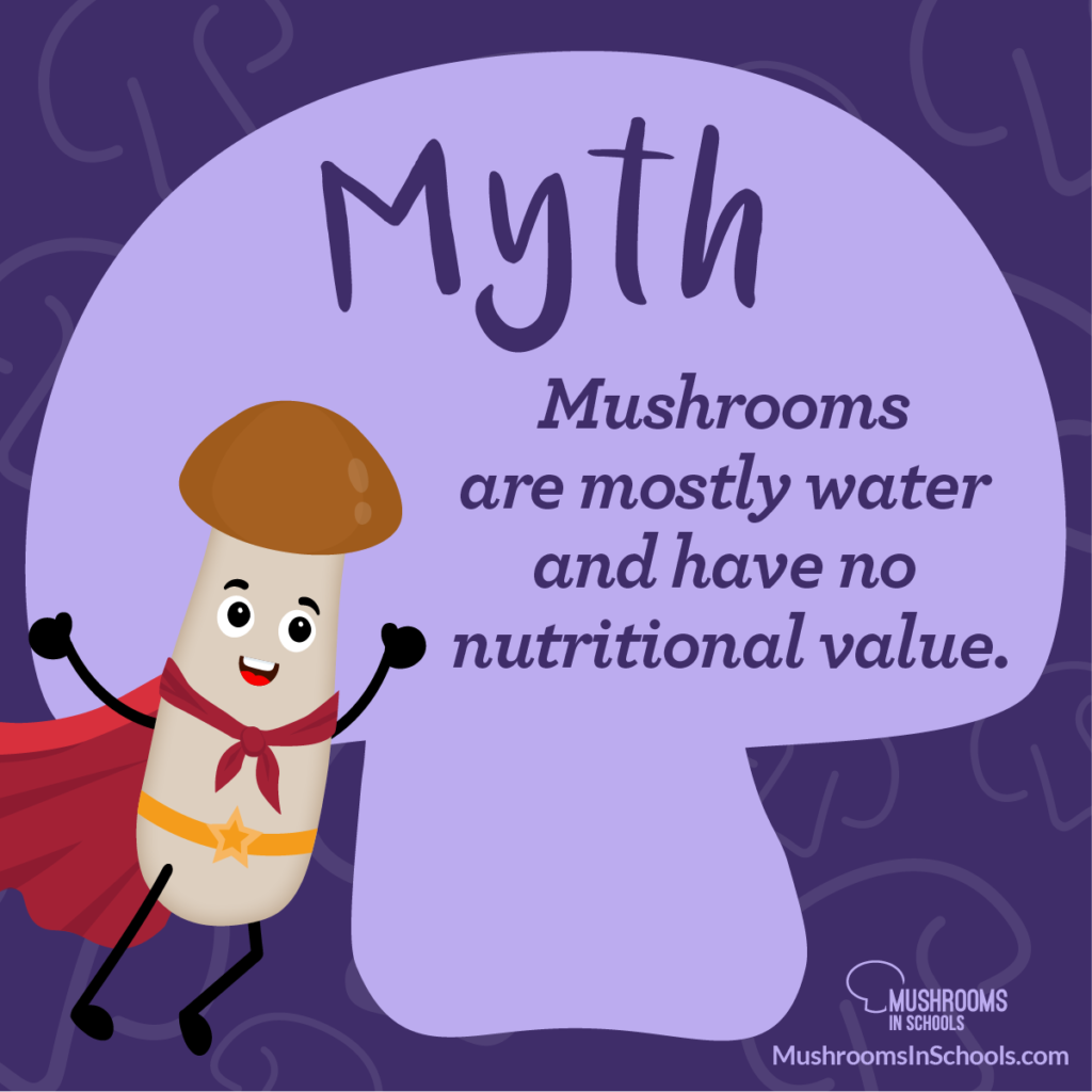 Myth Busting the Mighty Mushroom – Mushrooms in Schools